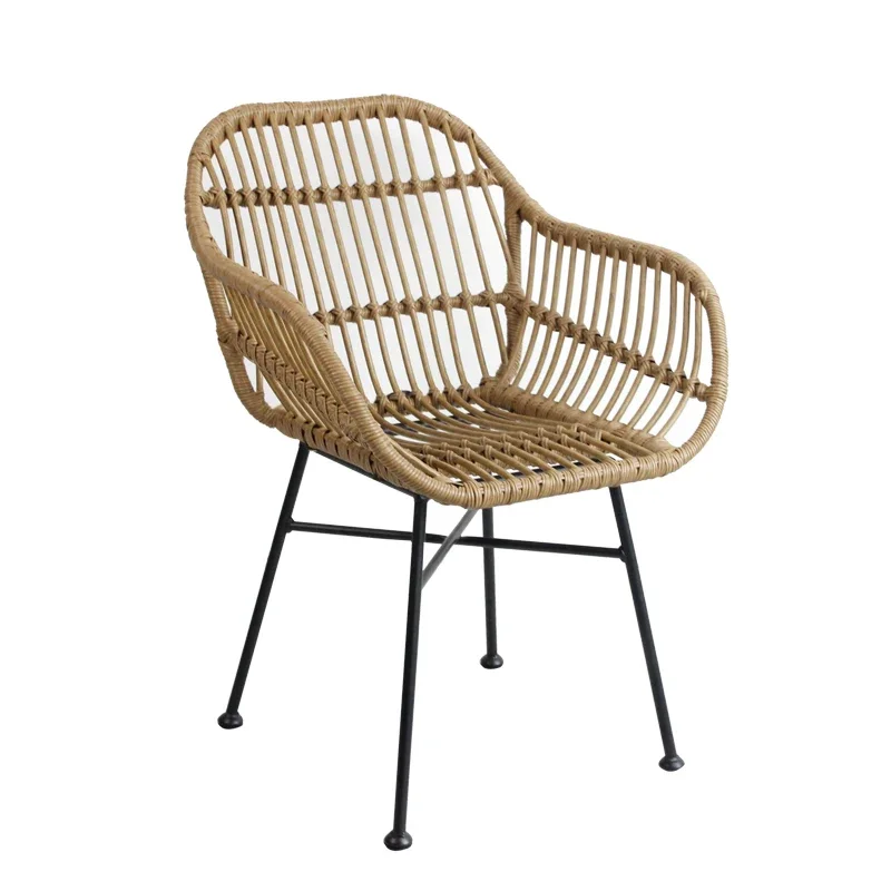Outdoor Furniture Iron - Nordic Dining Chairs for Kitchen Ins