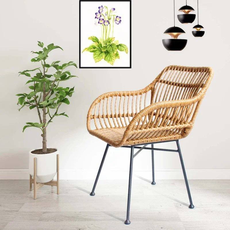 Nordic Dining Chairs for Kitch - đánh giá và giá Outdoor Furniture Iron